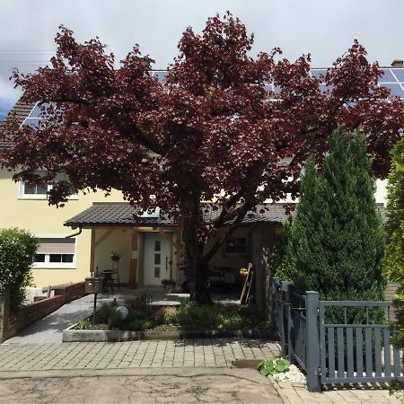 Apartmentvermietung Ingrid Bolkart - Voehlino 2 イッラーティッセン エクステリア 写真