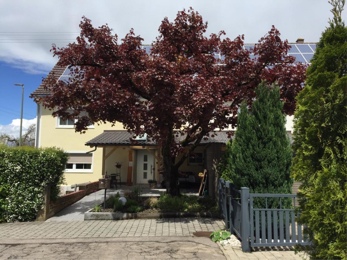 Apartmentvermietung Ingrid Bolkart - Voehlino 2 イッラーティッセン エクステリア 写真