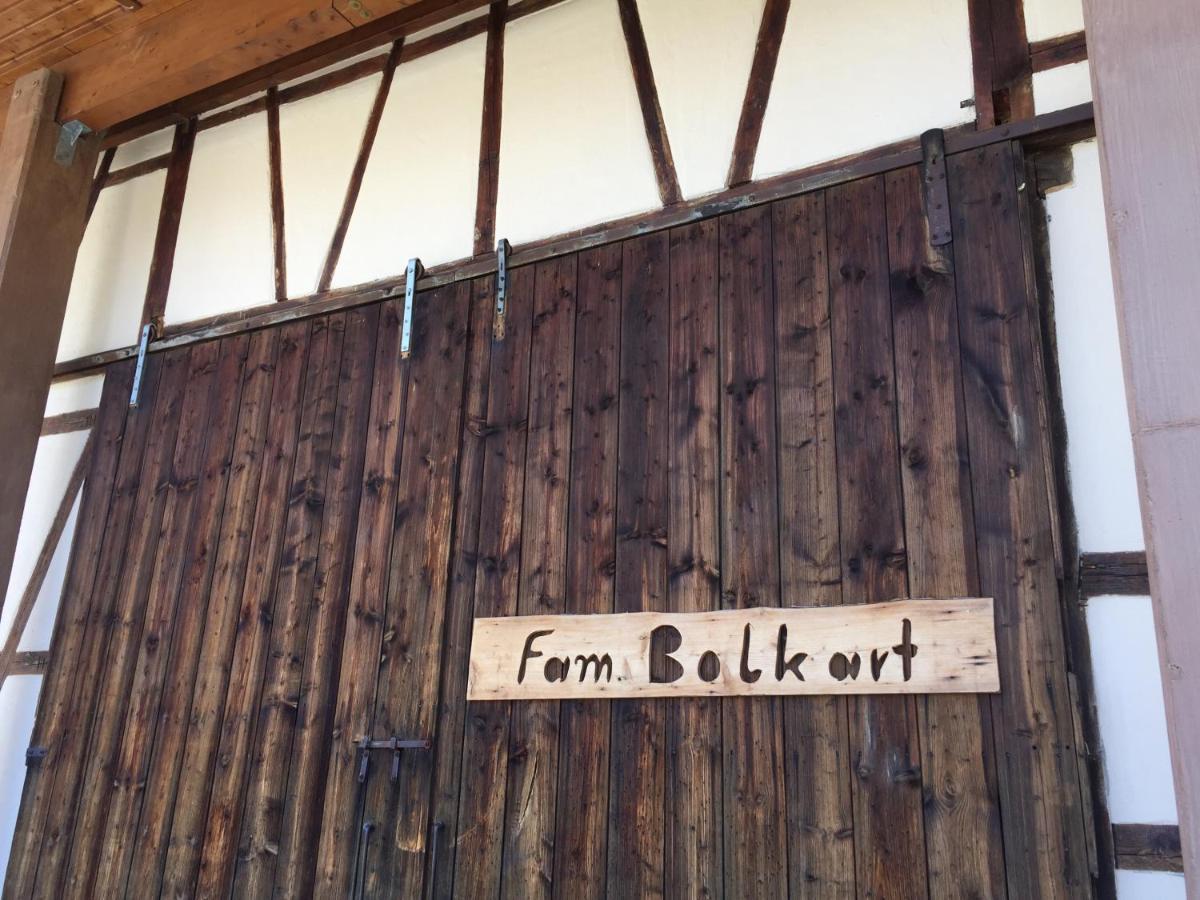 Apartmentvermietung Ingrid Bolkart - Voehlino 2 イッラーティッセン エクステリア 写真